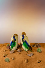 Peacock Mules